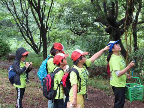 ipponnoki20200728 (2)