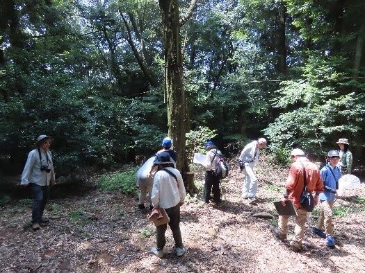 「立田山夏の生きもの観察会」の下見を行いました : くまもと自然だより