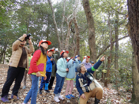 ipponnoki20200119 (2)