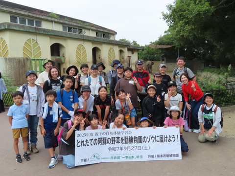 IMG_7168キリヌキ