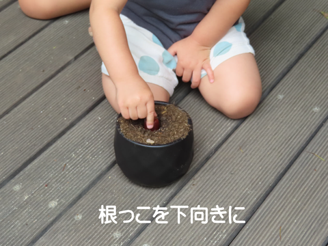 IMG_6828リサイズ