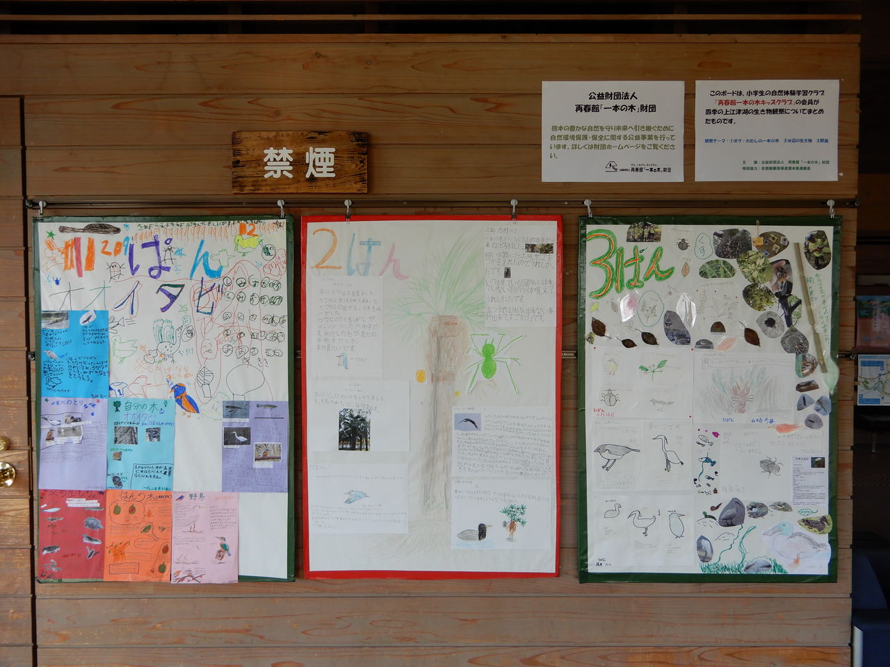 再春館一本の木キッズクラブの発表ボード展示中です くまもと自然だより