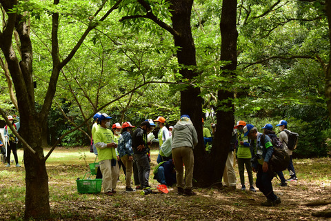 ipponnoki20210726 (3)