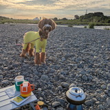 56ff27f7-41ed-4026-b048-834a3830569a_PXL_20250922_214547429