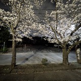PXL_20250330_110522475
