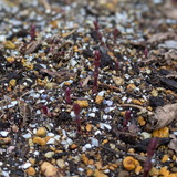 PXL_20260312_225409898.PORTRAIT