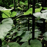 R0033475