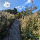 PXL_20240830_140938062