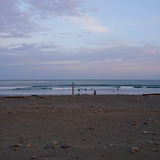 DSC_1227 (1)