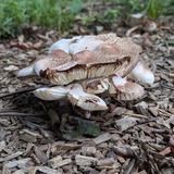 PXL_20240905_223049033.PORTRAIT