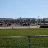 PXL_20251124_032239244.PORTRAIT.ORIGINAL