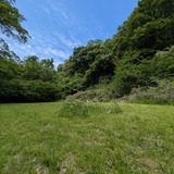 PXL_20250504_033507563