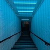 PXL_20241127_120913608.MP