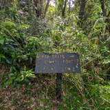 PXL_20250503_054900688