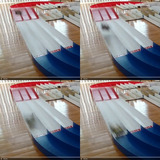 WSF_1