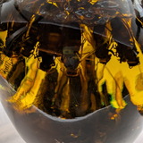 PXL_20260304_132615091.PORTRAIT.ORIGINAL