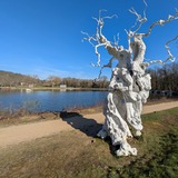 PXL_20250302_102953260