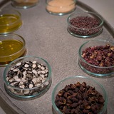 PXL_20241117_102017350.PORTRAIT