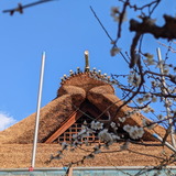 PXL_20260222_055309967.PORTRAIT