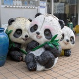 PXL_20250629_073337458.PORTRAIT