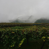 DSC_0034 (1)
