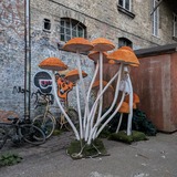 PXL_20240830_182433615