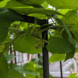PXL_20260630_223226999
