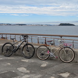 PXL_20251101_041745421.PORTRAIT.ORIGINAL