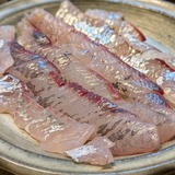 PXL_20240922_093520398.PORTRAIT