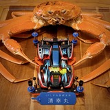 PXL_20241229_090632459.PORTRAIT.ORIGINAL