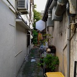 DSC_0176