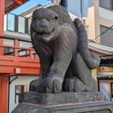 PXL_20260124_031042820.PORTRAIT