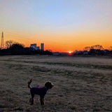 PXL_20241231_215311948~3