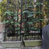 PXL_20260426_072043096