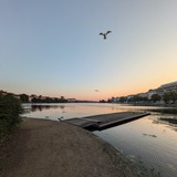 PXL_20240828_042602401