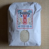 PXL_20241104_055510874.PORTRAIT.ORIGINAL