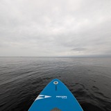 PXL_20250412_214436642.MP