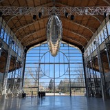 PXL_20250302_100807373