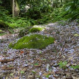 PXL_20250503_054428856