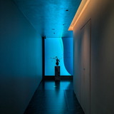 PXL_20260305_103826005.MP