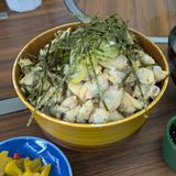 PXL_20260207_034313247.PORTRAIT