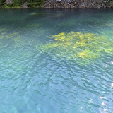 PXL_20251024_024802245