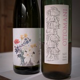 PXL_20241117_111515286.PORTRAIT