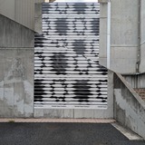 PXL_20250719_074536338.MP