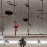 PXL_20260207_041930196.MP