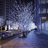 IMG_20200110_174942_122