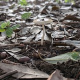 PXL_20240909_220538895.PORTRAIT