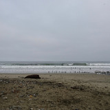 DSC_1051 (1)