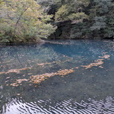 PXL_20251024_054600885.MP