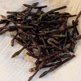 PXL_20260319_230246211.PORTRAIT